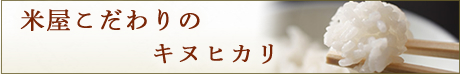 米屋こだわりのキヌヒカリ