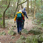 登山