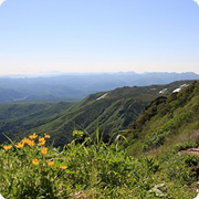 登山