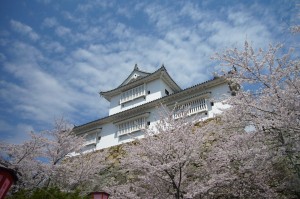 津山鶴山公園 (20)