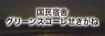 国民宿舎 グリーンスコーレせきがね